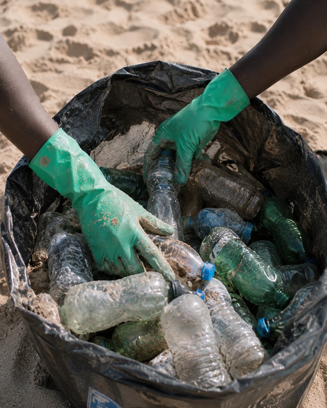 Volunteer hands in green gloves sorting plastic bottles into a bin bag during a beach cleanup